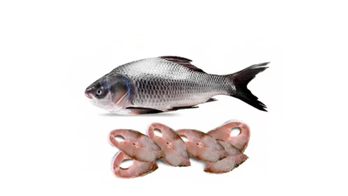 Catla Fish After Cutting 1.5 kg
