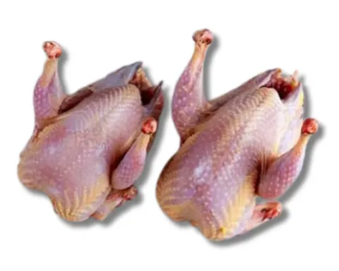 Kobutorer Mangsho (Pigeon Meat) Regular