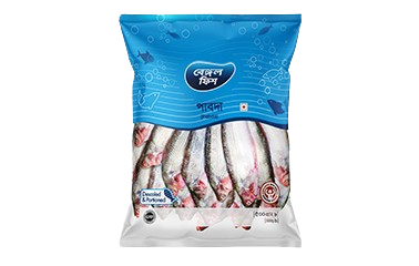 Bengal Fish Pabda Fish