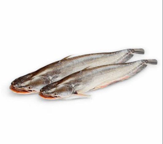 Boal Fish (1.2-2.999) Kg/Pc