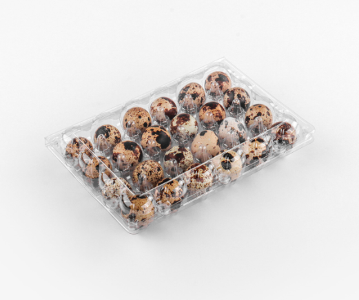 Quail Eggs 20 pcs