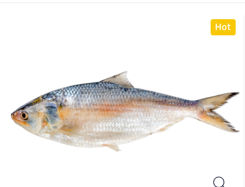 Hilsha Fish 300 Gram +