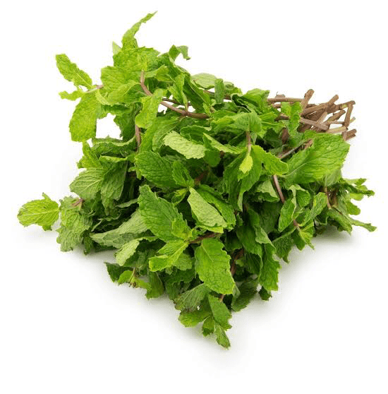 Pudina Pata (Mint Leaves) 100 gm