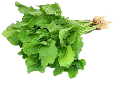 Shorshe Shak (Mustard Spinach) 1 bundle