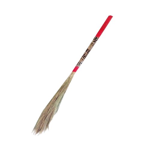 Flower Broom (Ful Jharu)