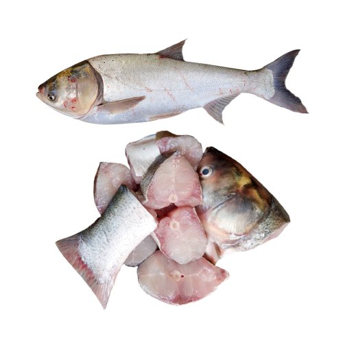 Silver Carp Fish After Cutting 1 kg