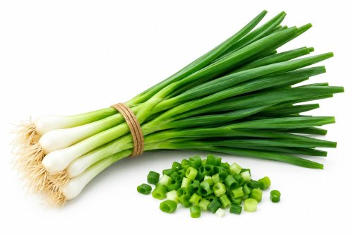 Spring Onion 250 gm