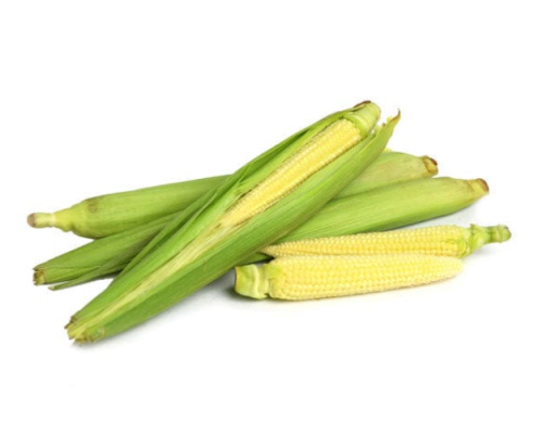Fresh Baby Corn