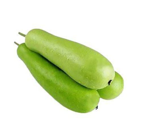 Lau (Bottle Gourd) 1 pcs