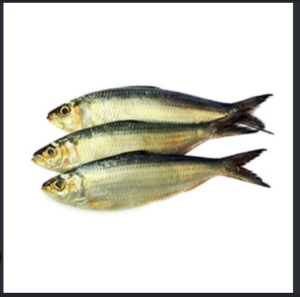 Chapila Fish 500 gm