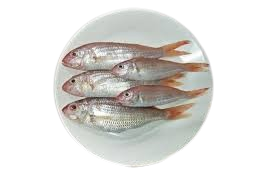 Poa Fish 500 gm