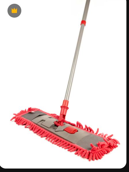 Dry Floor Mop