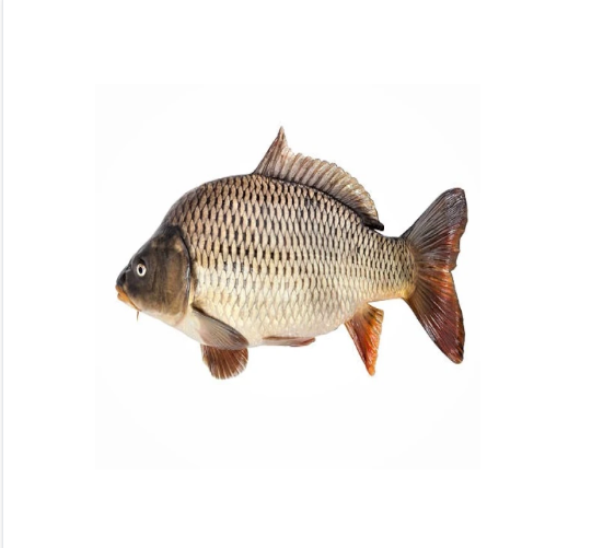 Karfu Fish Medium 1kg
