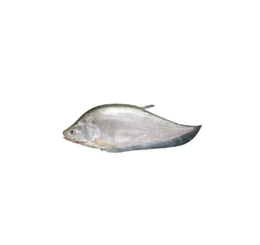 Foli Fish 1kg