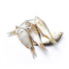 Puti Fish 250 gm
