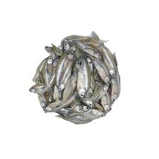 Mola Fish Deshi 250 gm