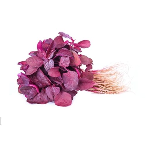 Lal Shak (Red Spinach) 1 bundle