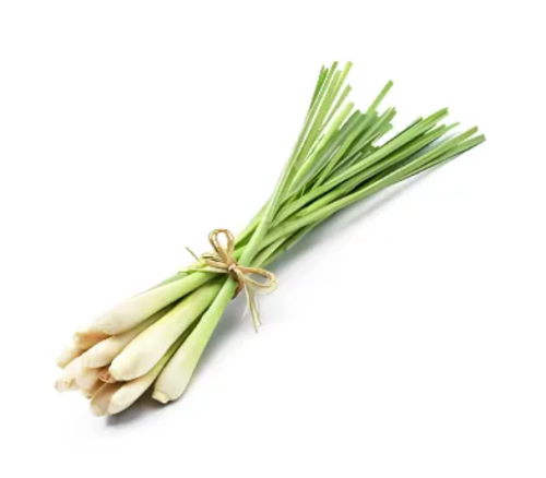 Lemon Grass Stalk 200 gm