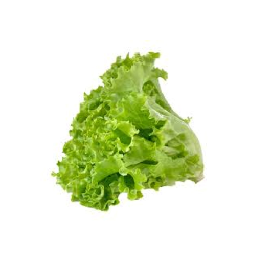 Lettuce Leaf 100 gm