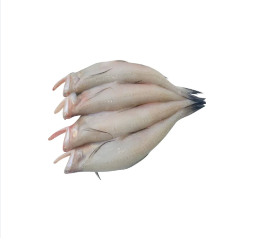 Loitta Fish 1kg