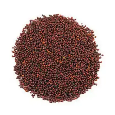 Mustard Seed (Red)100 grm