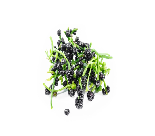 Pui Shak Seed 250 gm