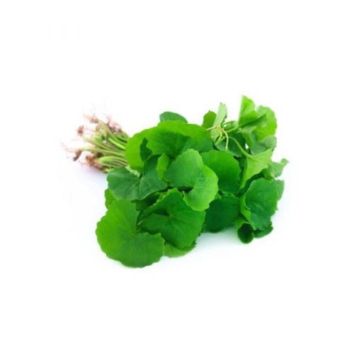 Thankuni Pata (Pennywort Leaves) 1 bundle